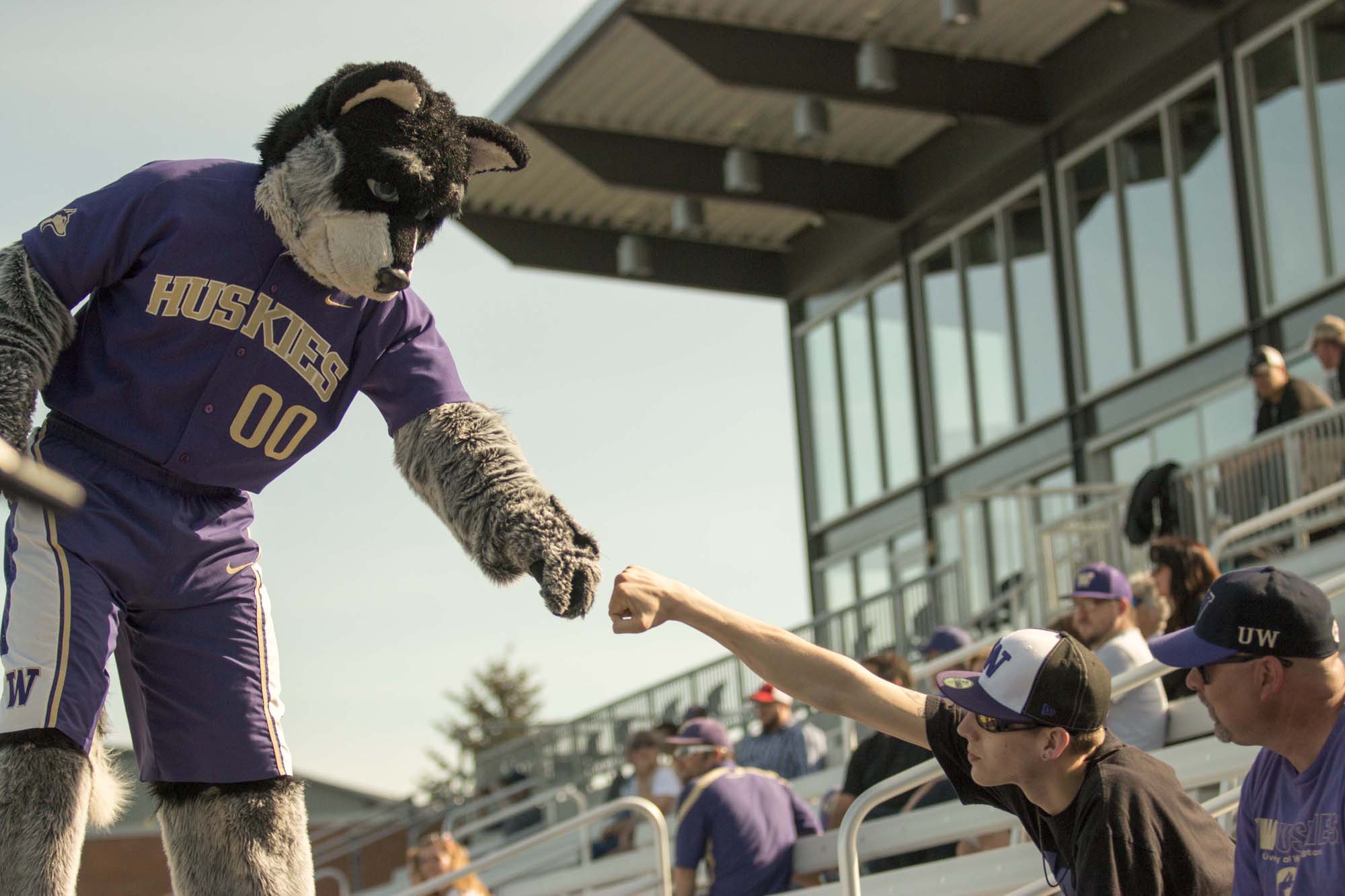 Harry fist bumping a fan at the UW stadium