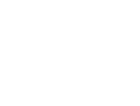 Price Waterhouse Copper