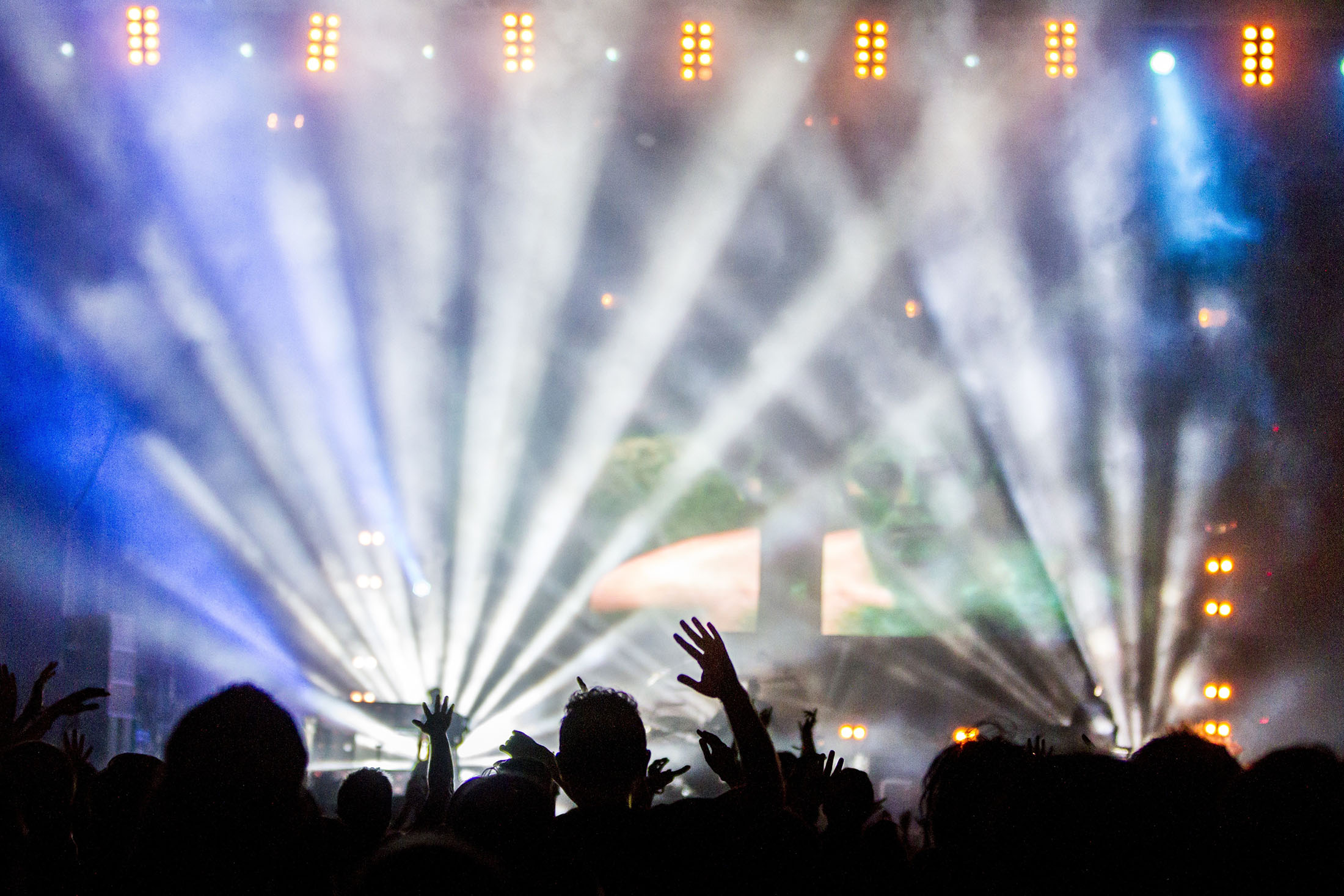 MUSIC AND ARTS FESTS