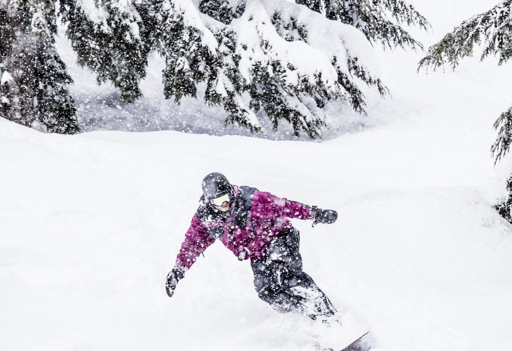 FEEL THE POWDER