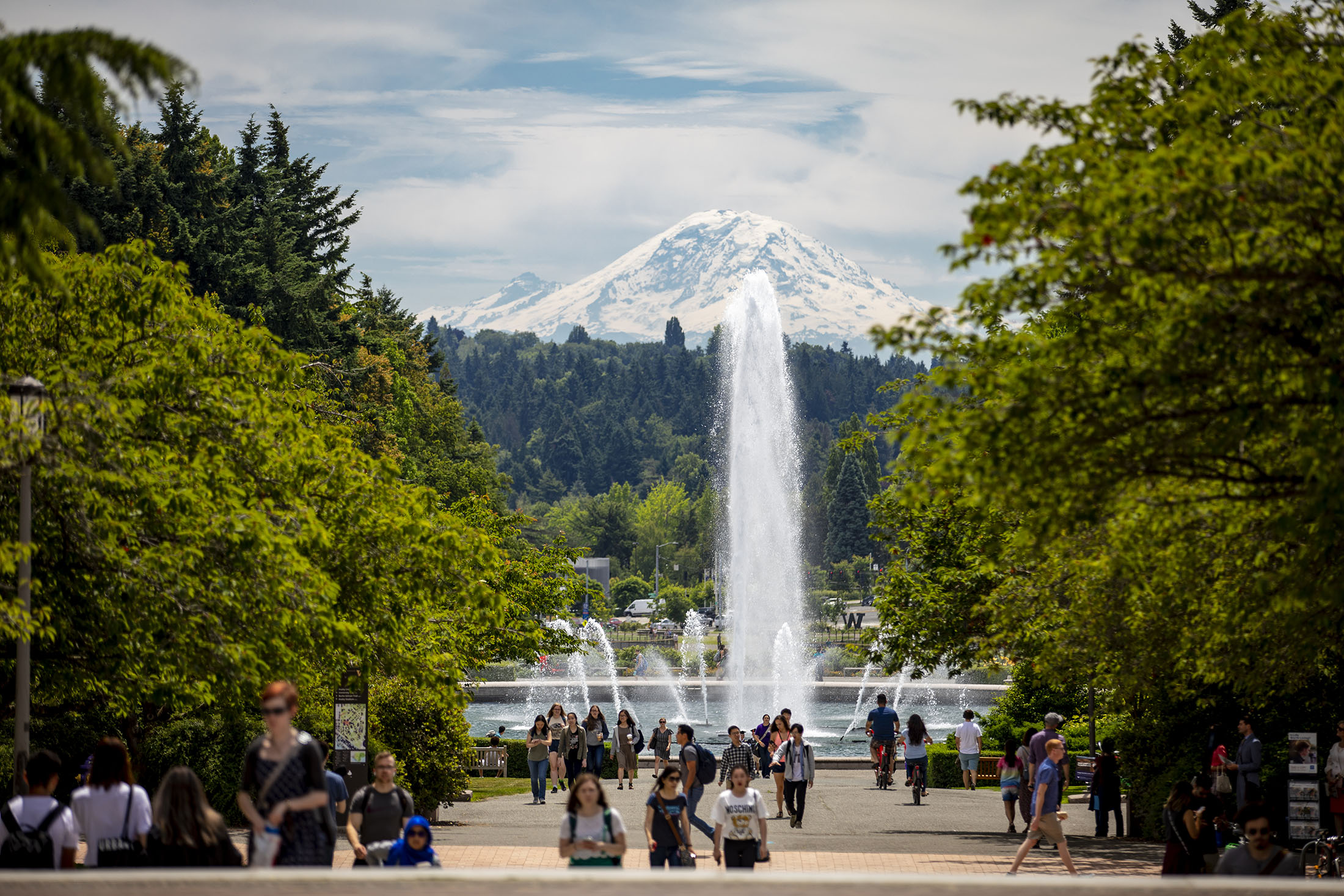 RAINIER VISTA