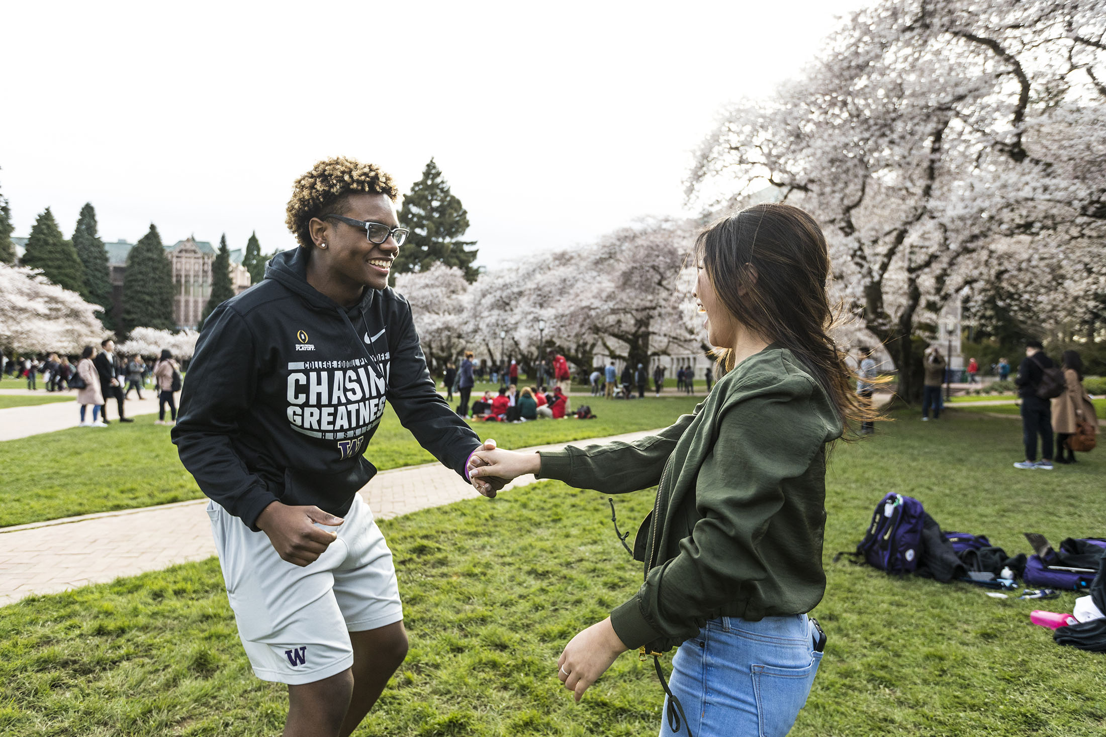 CHERRY BLOSSOMS